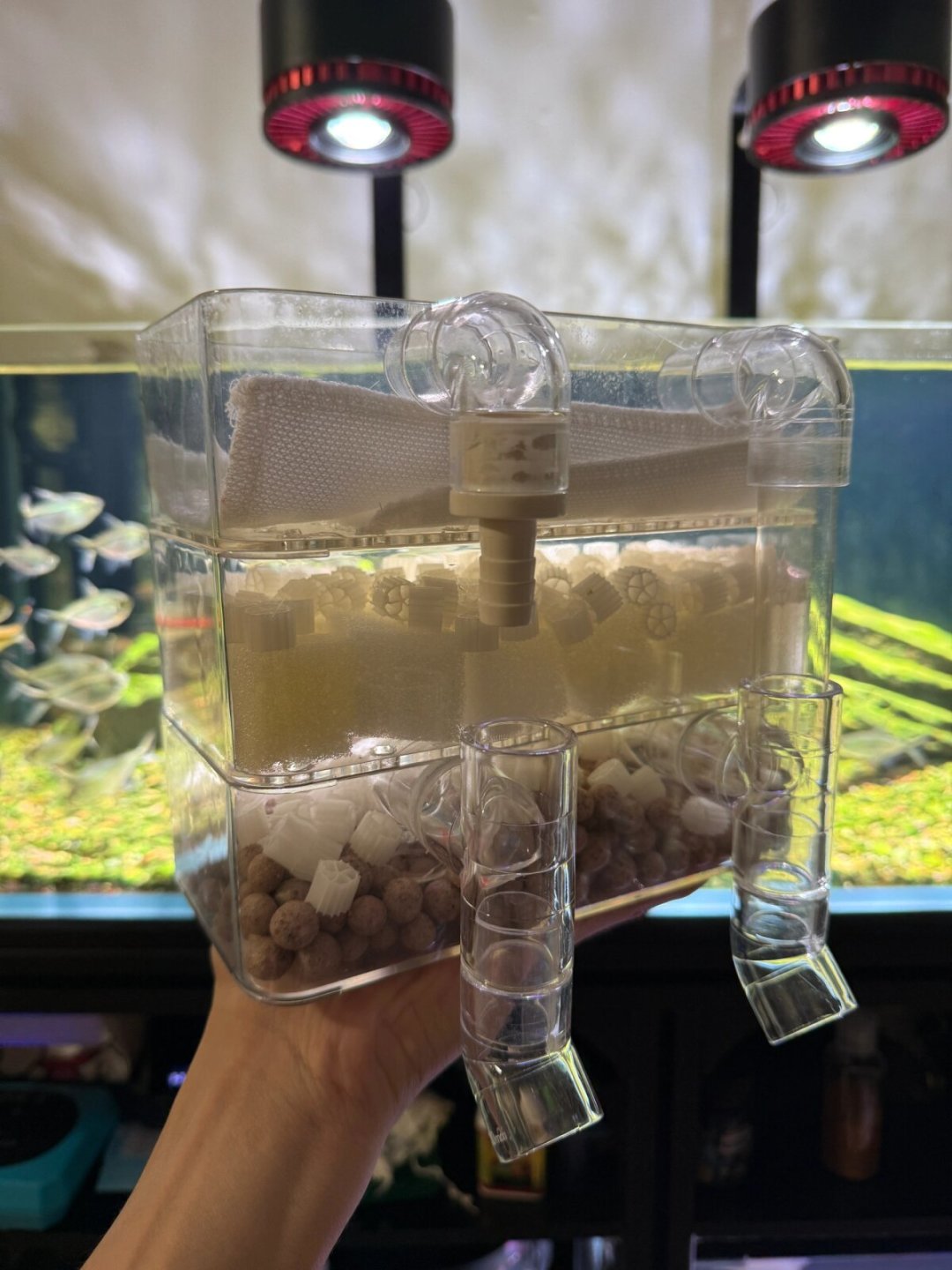 新手养鱼第一个坑就是过滤：老玩家按缸配过滤，这3种白送也别要