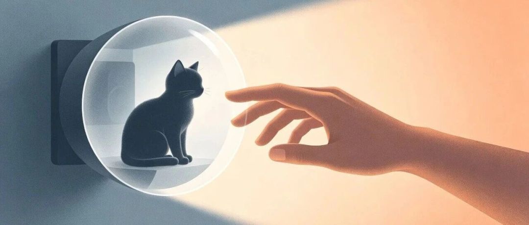 猫咪寄养一晚30到700元:算清4种安置方式后,对猫最稳的是“不出门”