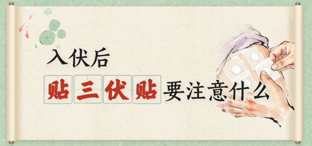 三伏贴是“智商税”吗?8月24日窗口关闭前,把该不该贴、花多少钱贴讲清楚
