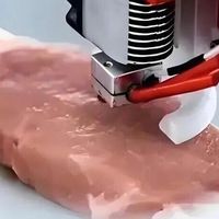 3D打印猪肉来了,不用养猪也能吃猪肉,5年后价格比普通肉更便宜