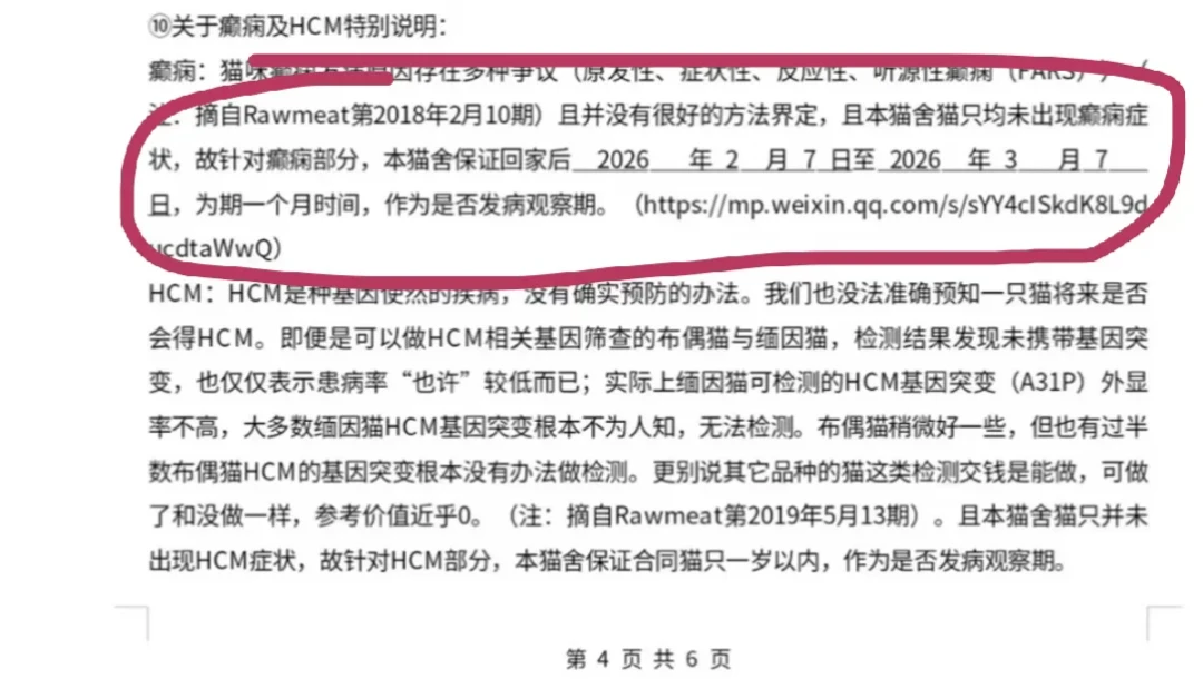 4.5万买的猫发作癫痫,猫舍不认猫:你买的