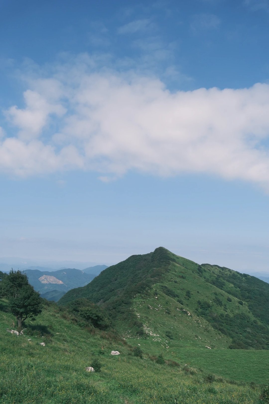 「秋天第一座山」打卡季来了:今年窗口劈成两半,两个周末两种爬法