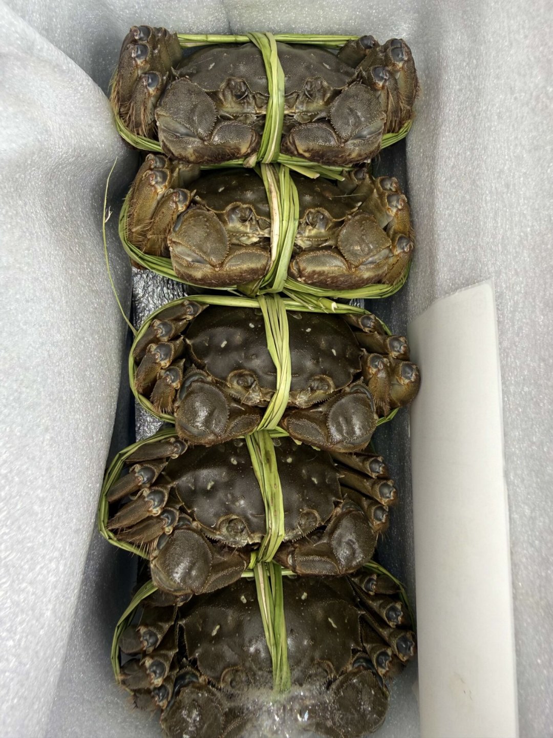 蟹卡预售热火朝天,但阳澄湖还没开湖:翻完三年投诉帖,下单前先看这4类坑和3个问题