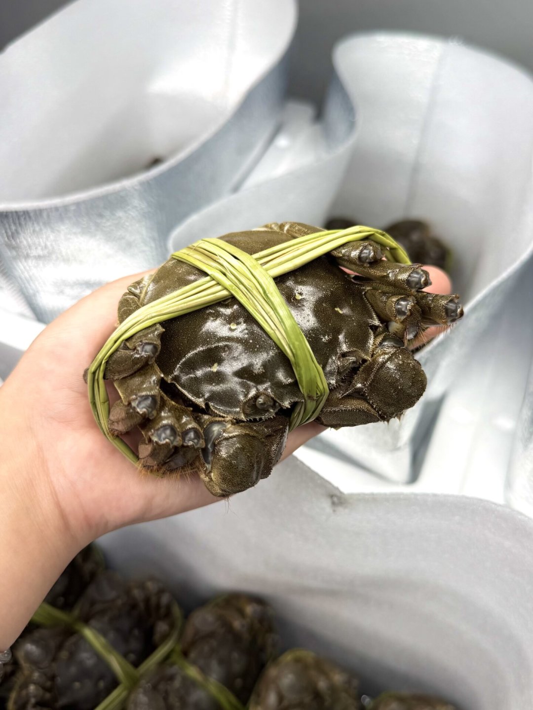 蟹卡预售热火朝天,但阳澄湖还没开湖:翻完三年投诉帖,下单前先看这4类坑和3个问题