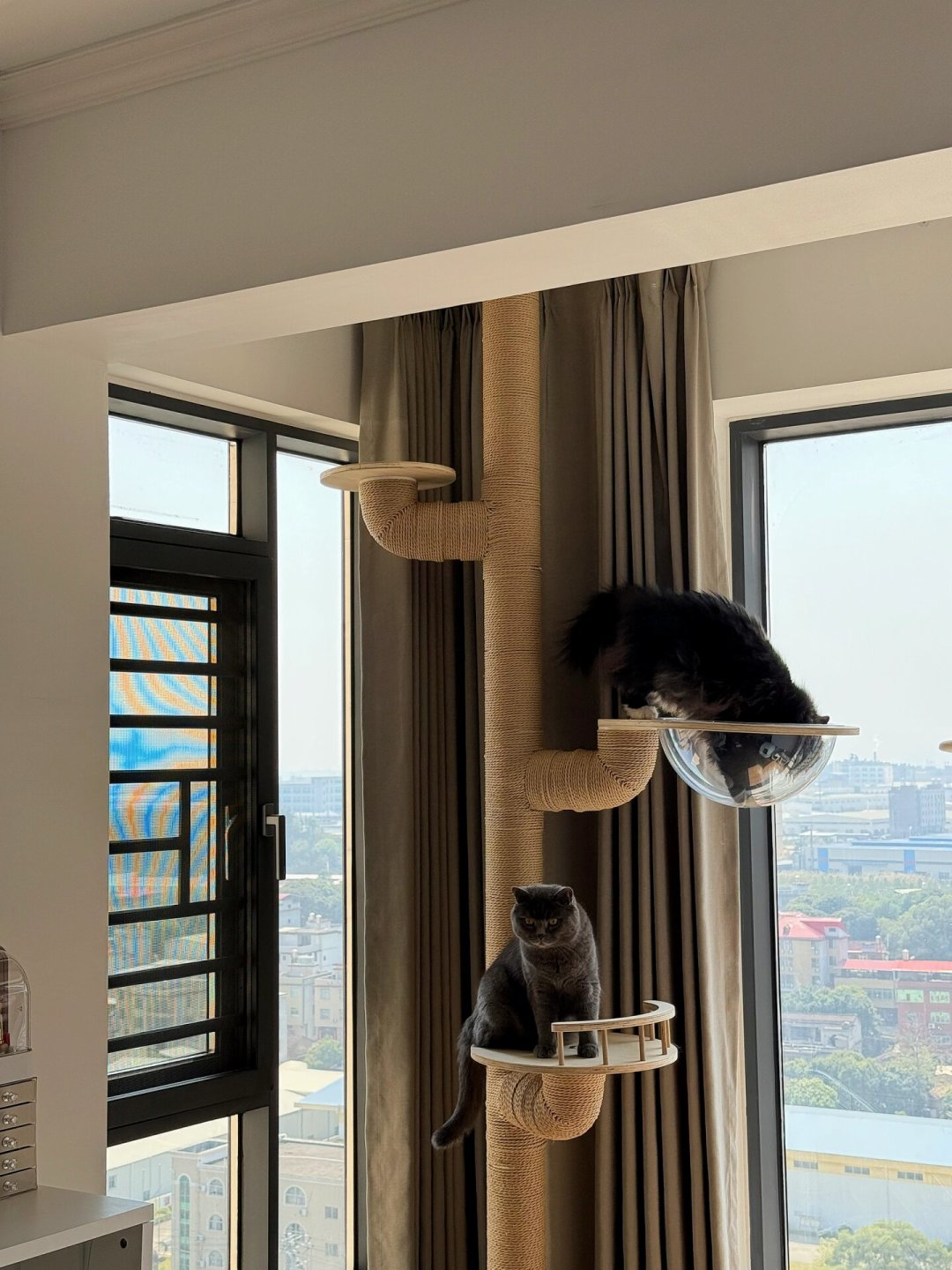 租房不能打孔,猫还得上高:四条免打孔路线盘完了,哪条扛得住、哪条会顶塌吊顶