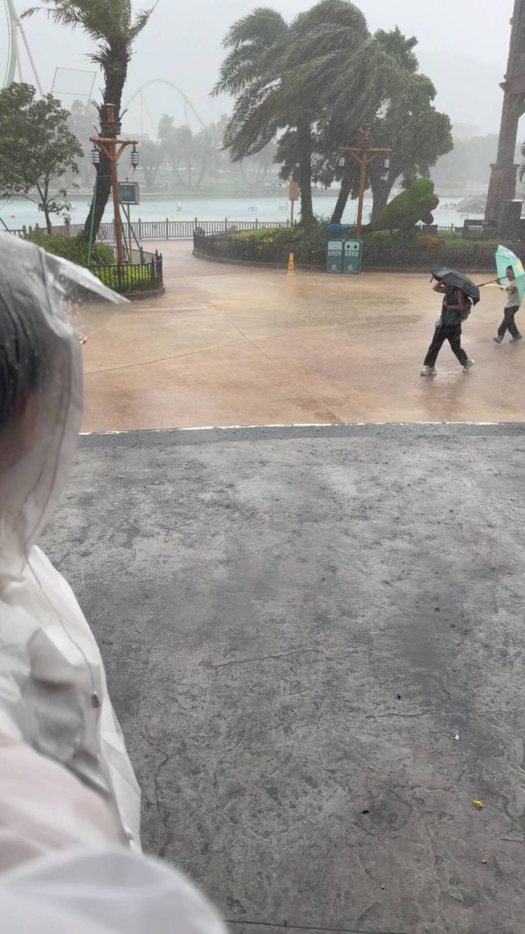 天气预报天天下雨,长隆还去不去?翻了20多篇雨天实测:3种情况照常去,2种情况赶紧退