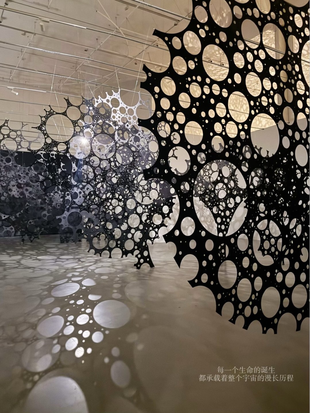 小红书刷屏的星空展,被成都验证了3个月:68元通票看Lindy Lee《世间星辰》