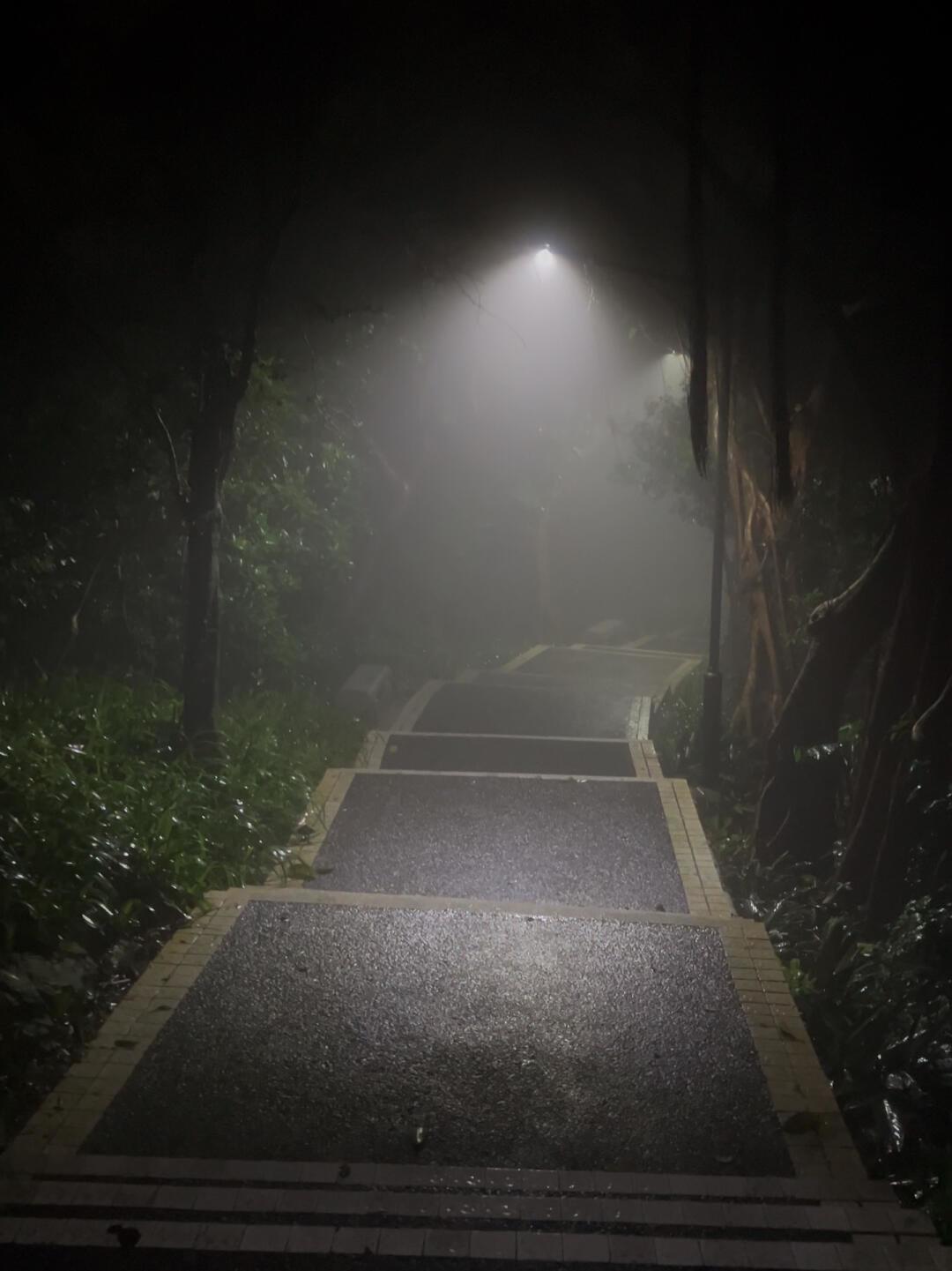 一周7起徒步被困事故,最小的仅6岁:8月“轻徒步”进山前,先看这份清单