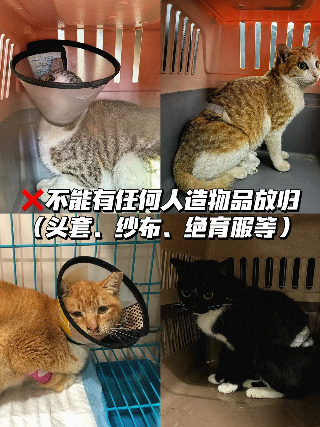 央视曝光“假救助”骗捐250万,只有3000元真用于救助:捐钱之前,先看这份识别清单