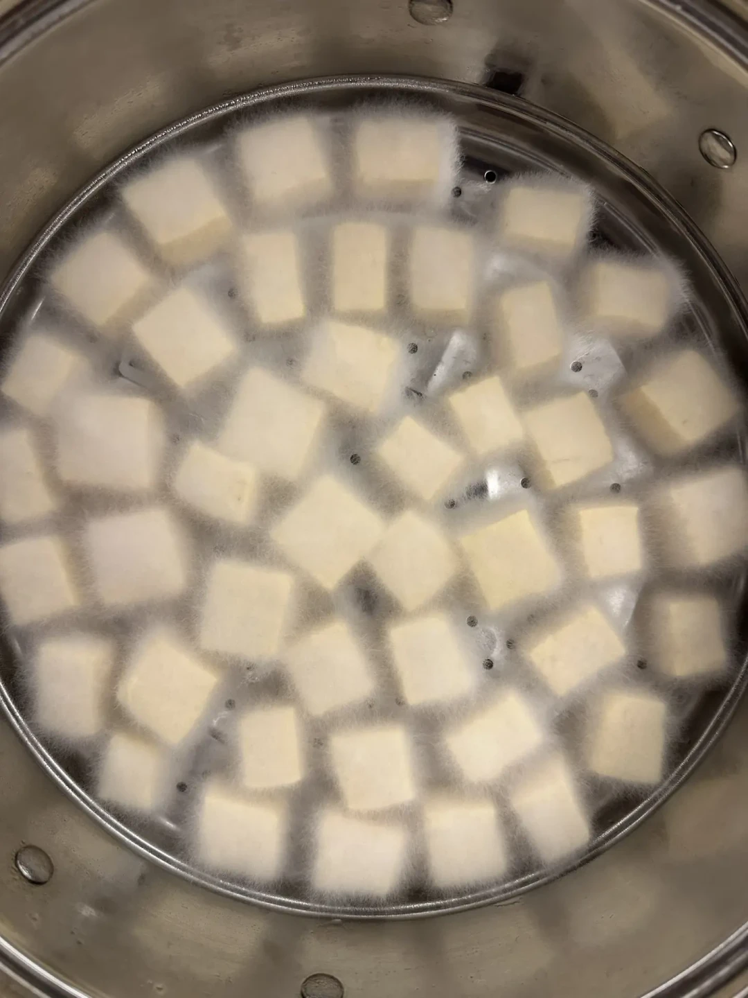 刷“豆腐长毛”看心动了?8月恰是翻车率最高的月份:做霉豆腐前先看这张判断表