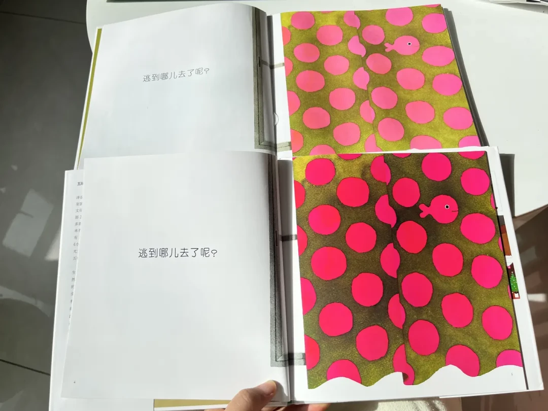 全新塑封也可能是盗版:翻遍全网鉴别帖和今年的判例,囤书前先过这5步