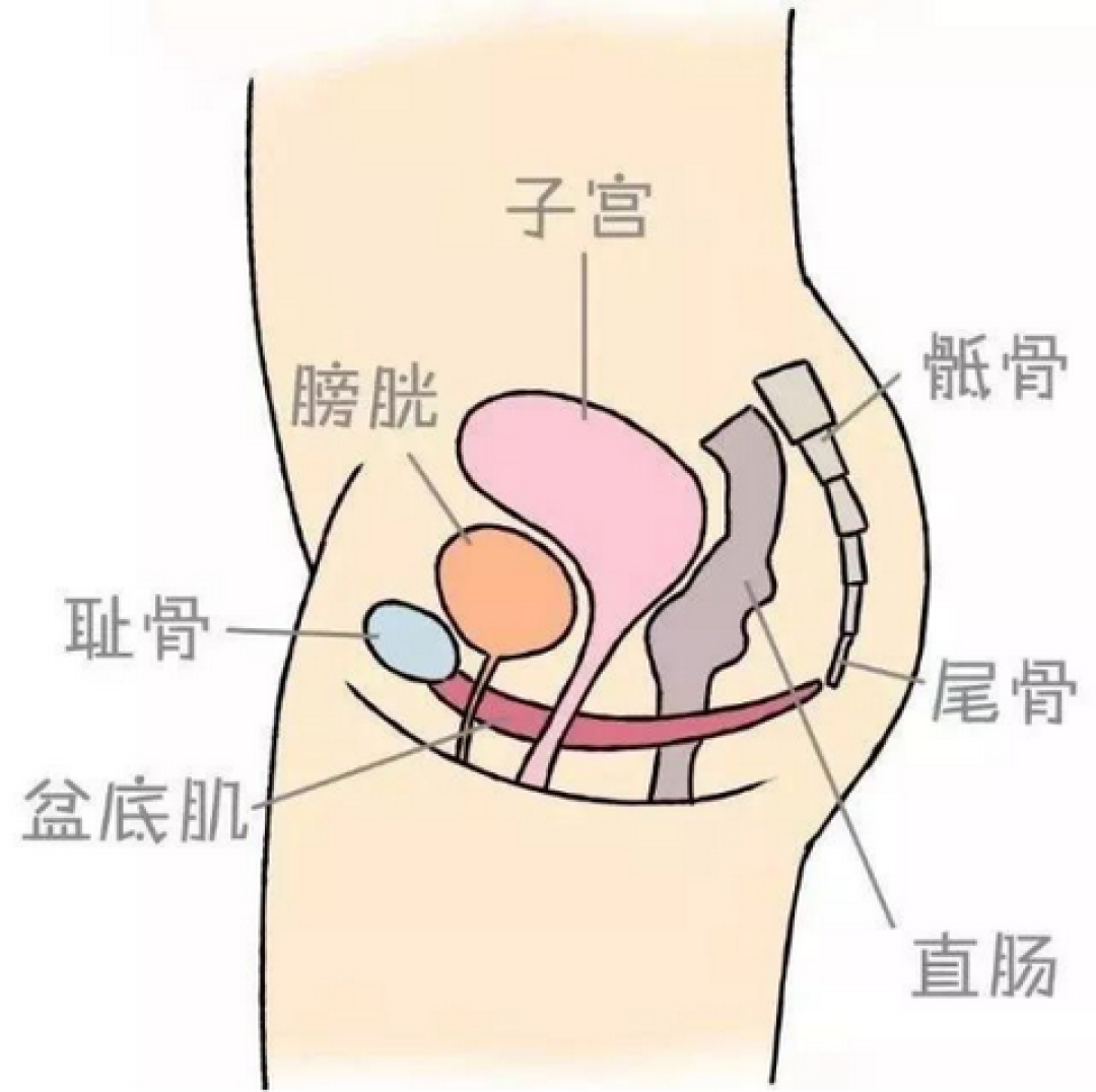 产后42天复查被骂