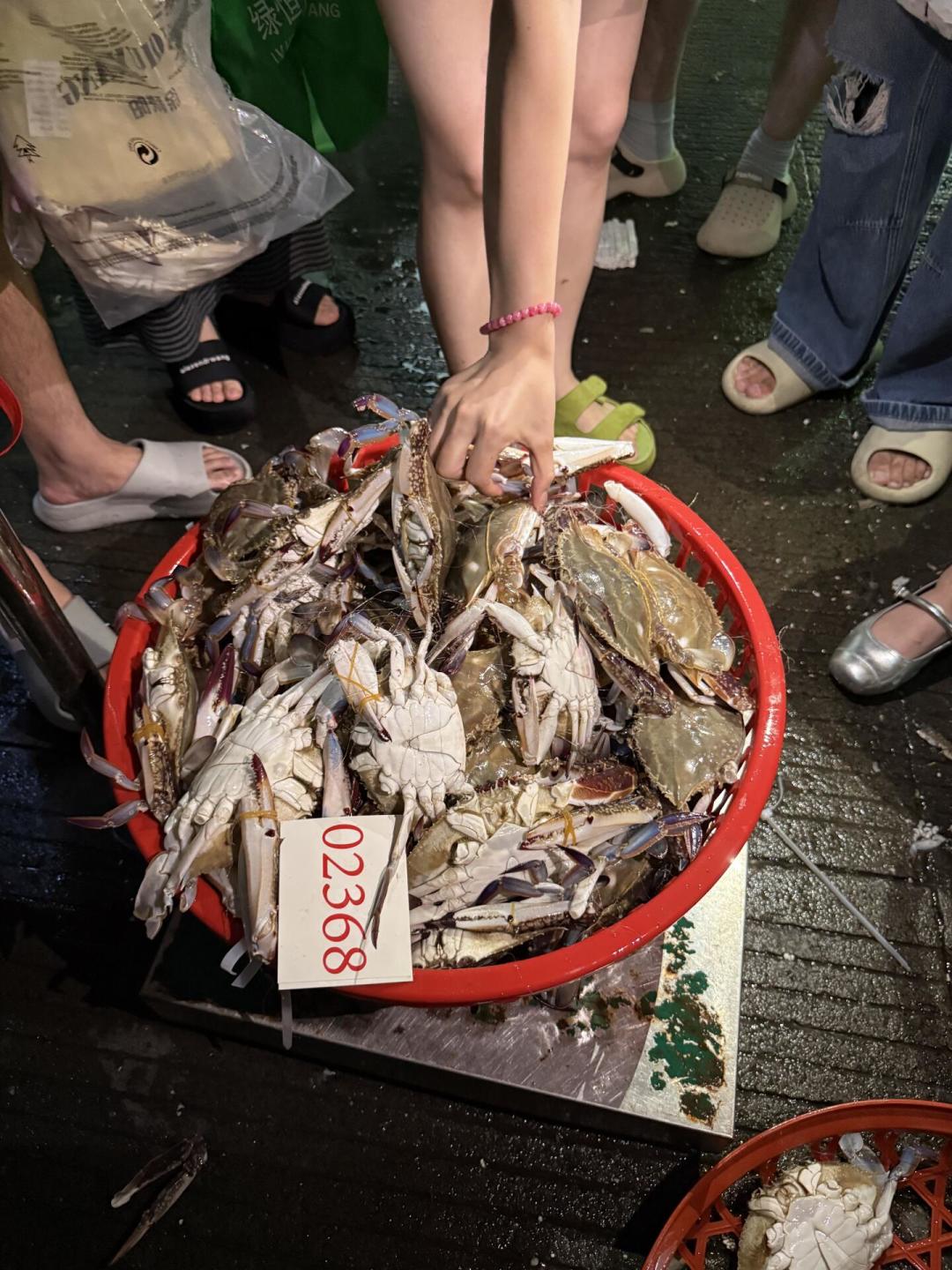 梭子蟹一周从55元/斤降到20元/斤：9月去舟山旅居，海鲜不是大头，住宿才是