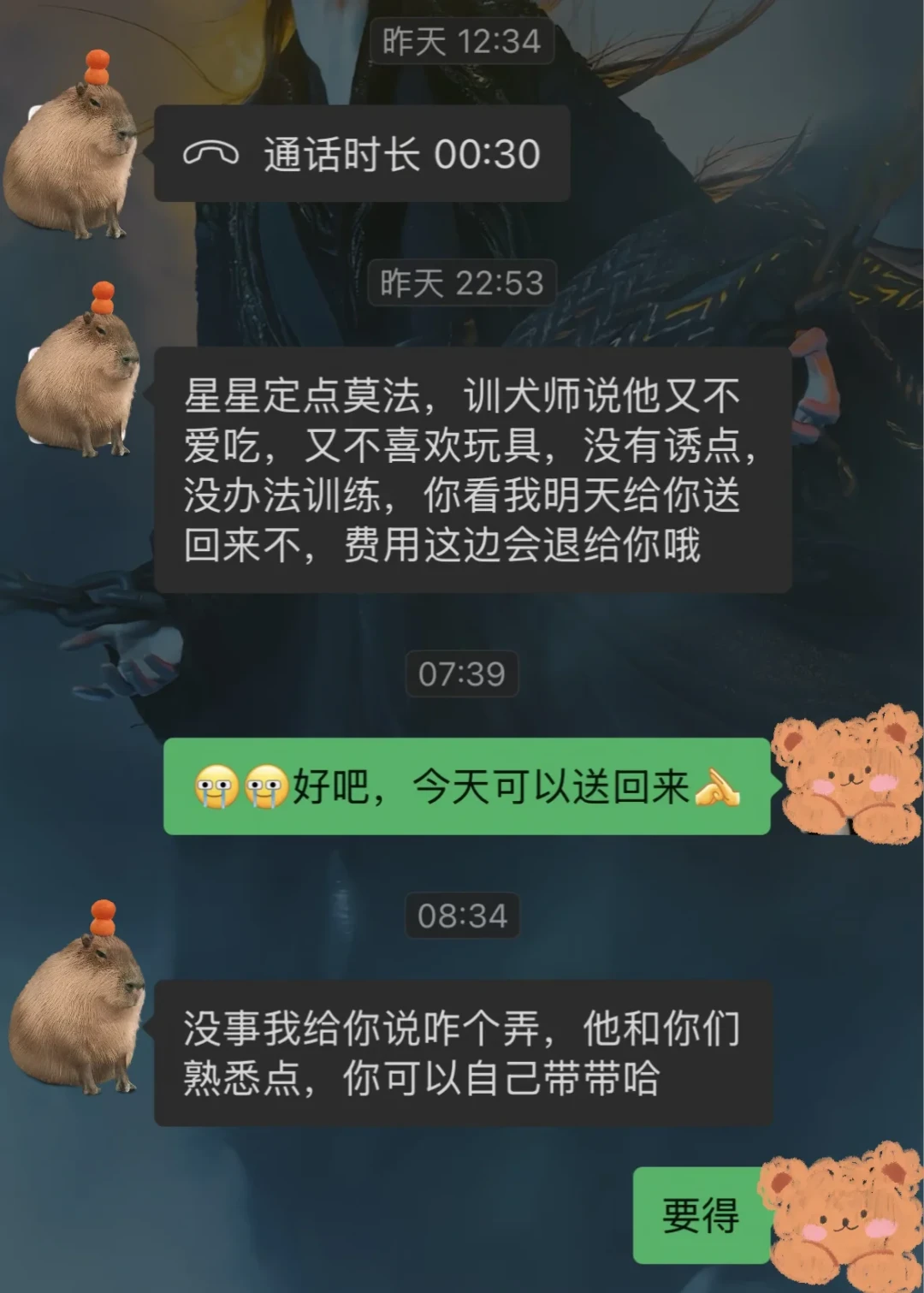 花1.58万送柴犬