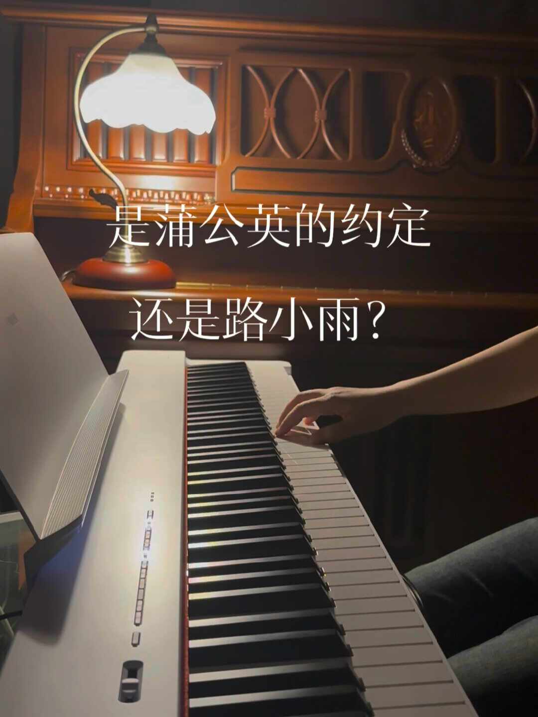 一段试听视频把“国产vs日系”吵上了:翻完评论区和二手市场,我把3000元价位电钢琴划成三个圈