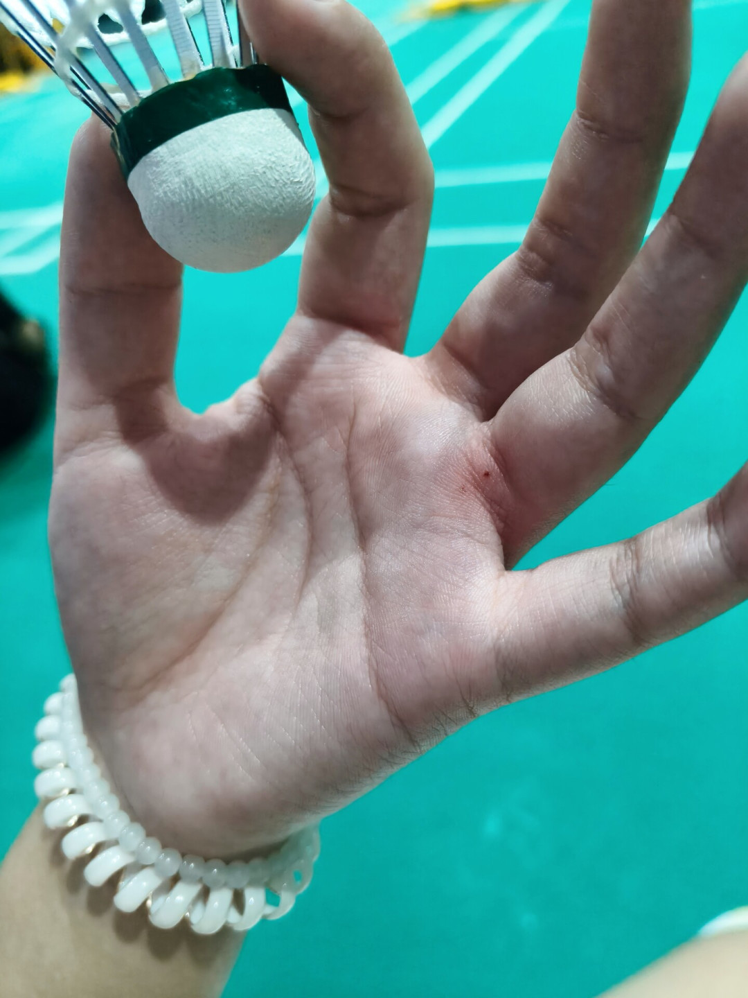 世界羽联批了，但有的球馆要禁它：四大厂人造羽毛球集体到货，换不换？