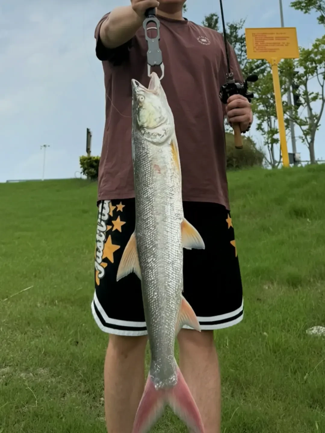 白云湖徒手拽出60斤鳡鱼:8月四条米级“鱼霸”刷爆全网,这水到底怎么了