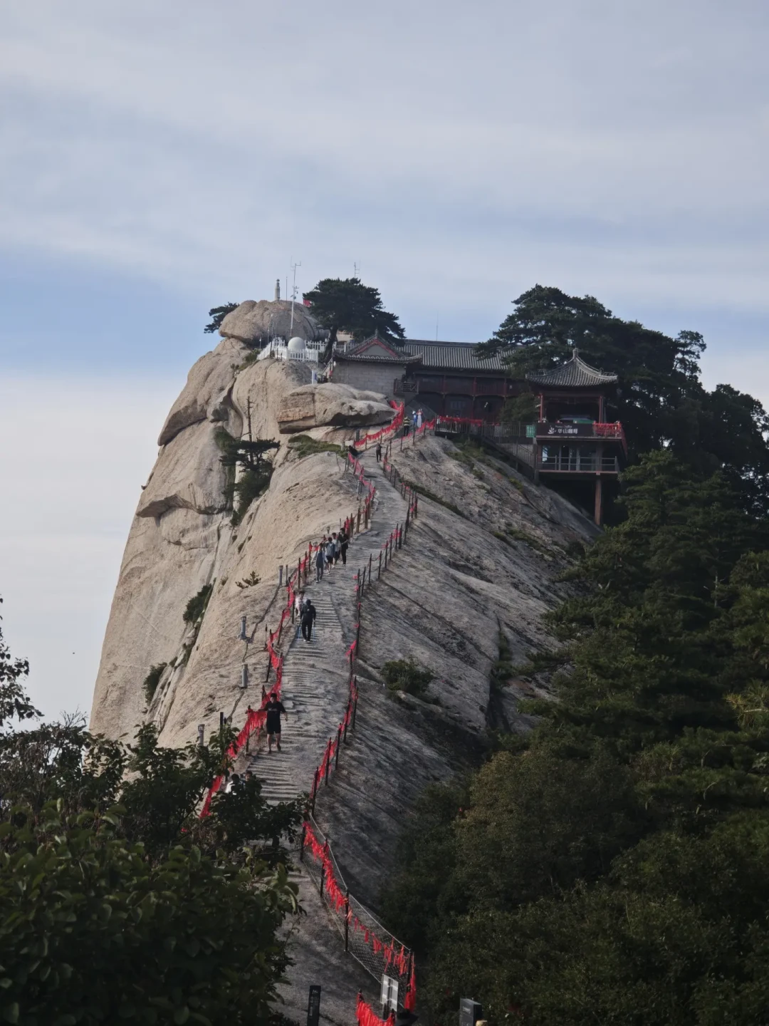 任盈盈被指