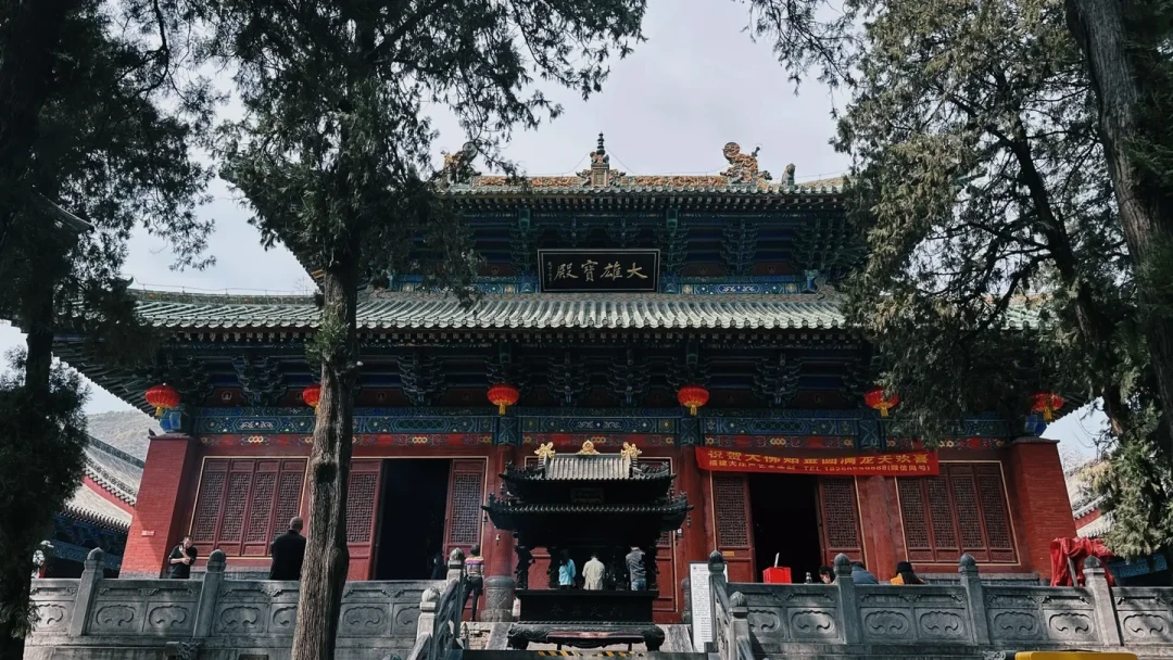 任盈盈被指