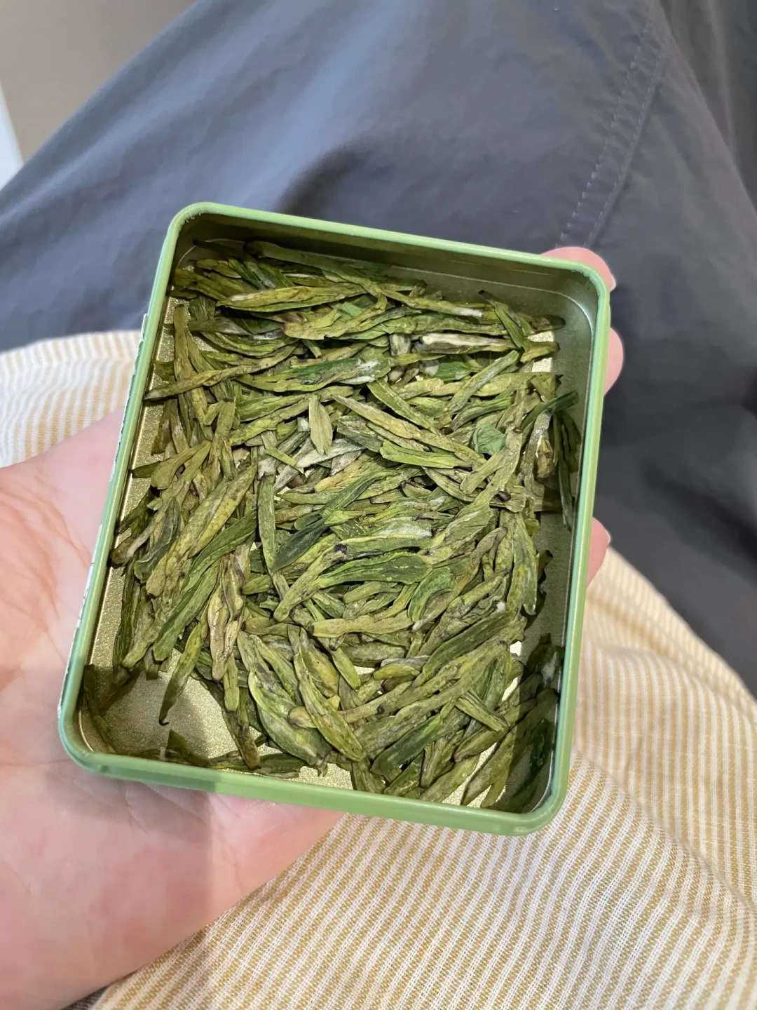 一天一瓶东方树叶,一个月喝掉170块:8月换散装绿茶,这笔省钱账和避坑清单一次算清