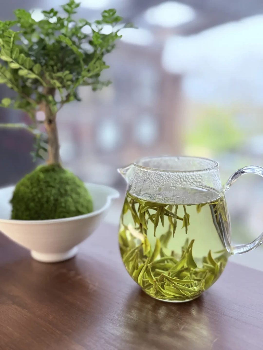 一天一瓶东方树叶,一个月喝掉170块:8月换散装绿茶,这笔省钱账和避坑清单一次算清