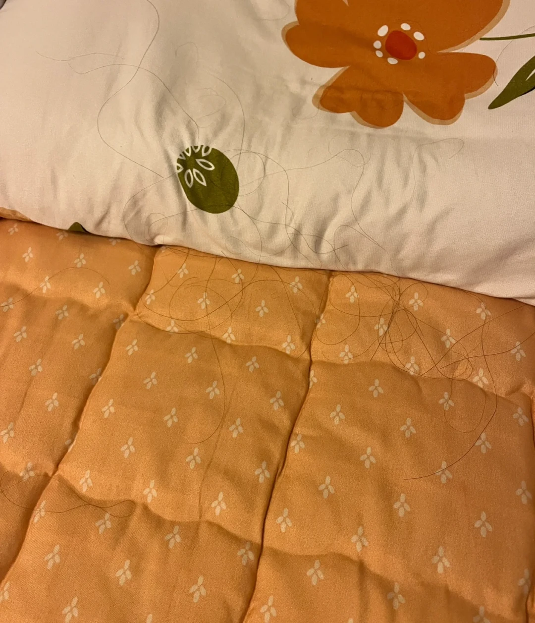 立秋后头发一把一把掉?先别急着下单防脱洗发水,分清“掉发”和“脱发”再说