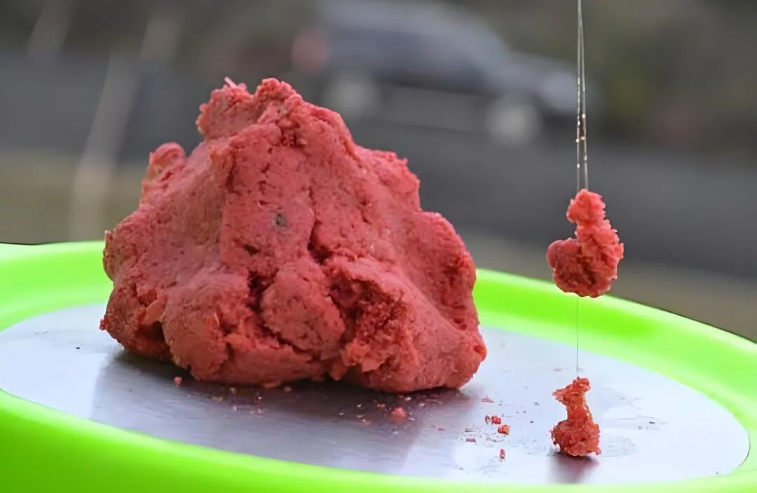处暑一到就急着加腥?我翻了4个平台的秋季用饵说法,发现切换开关根本不在日历上