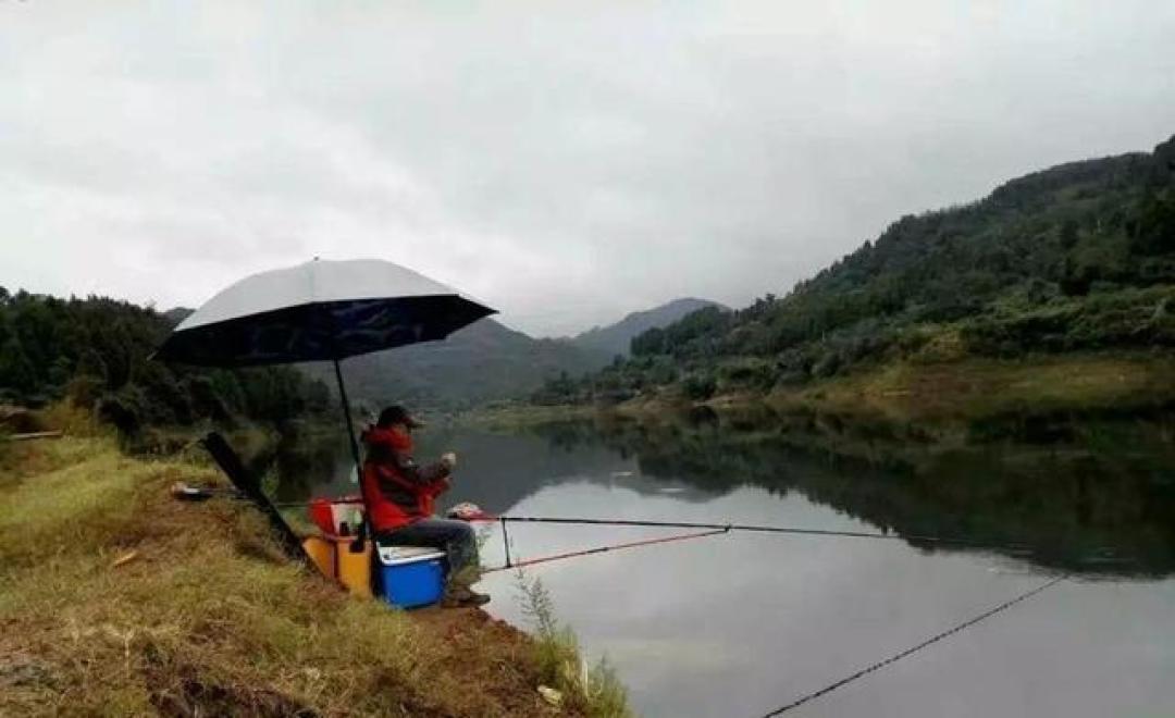 处暑一到就急着加腥?我翻了4个平台的秋季用饵说法,发现切换开关根本不在日历上