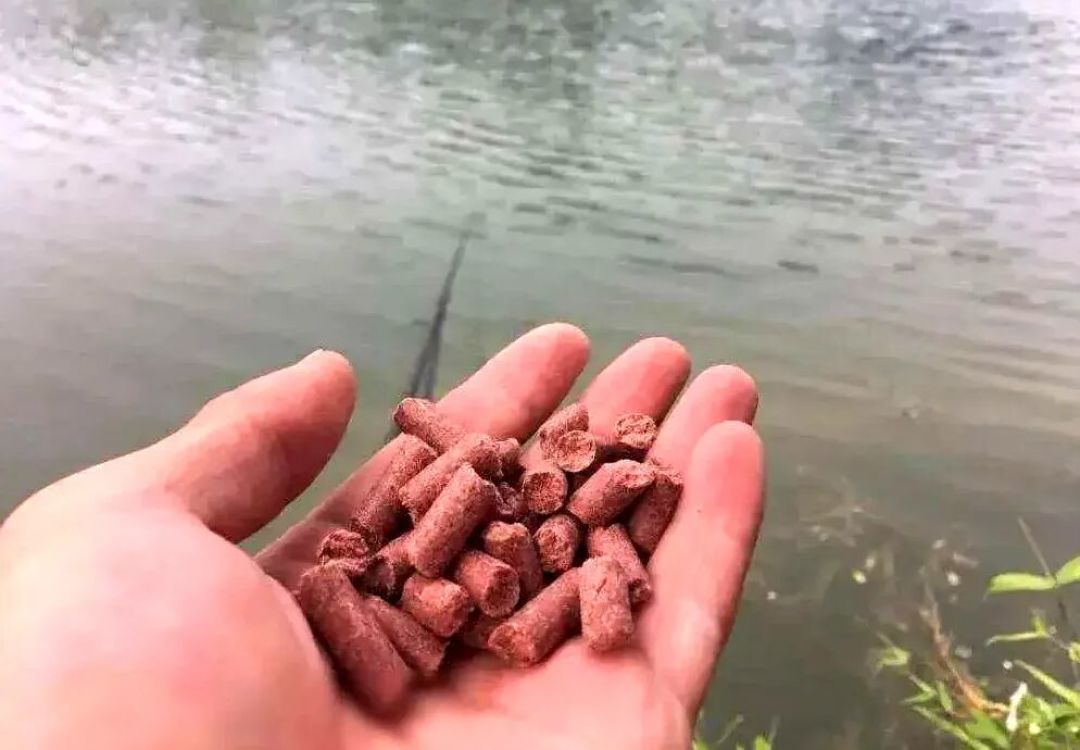 处暑一到就急着加腥?我翻了4个平台的秋季用饵说法,发现切换开关根本不在日历上