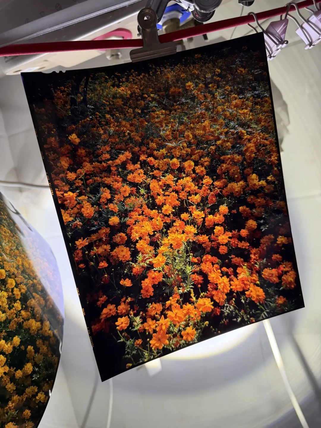 Velvia 338元一卷、E100一盒1000元：反转片涨到一次快门10块钱，还剩4条路能拍