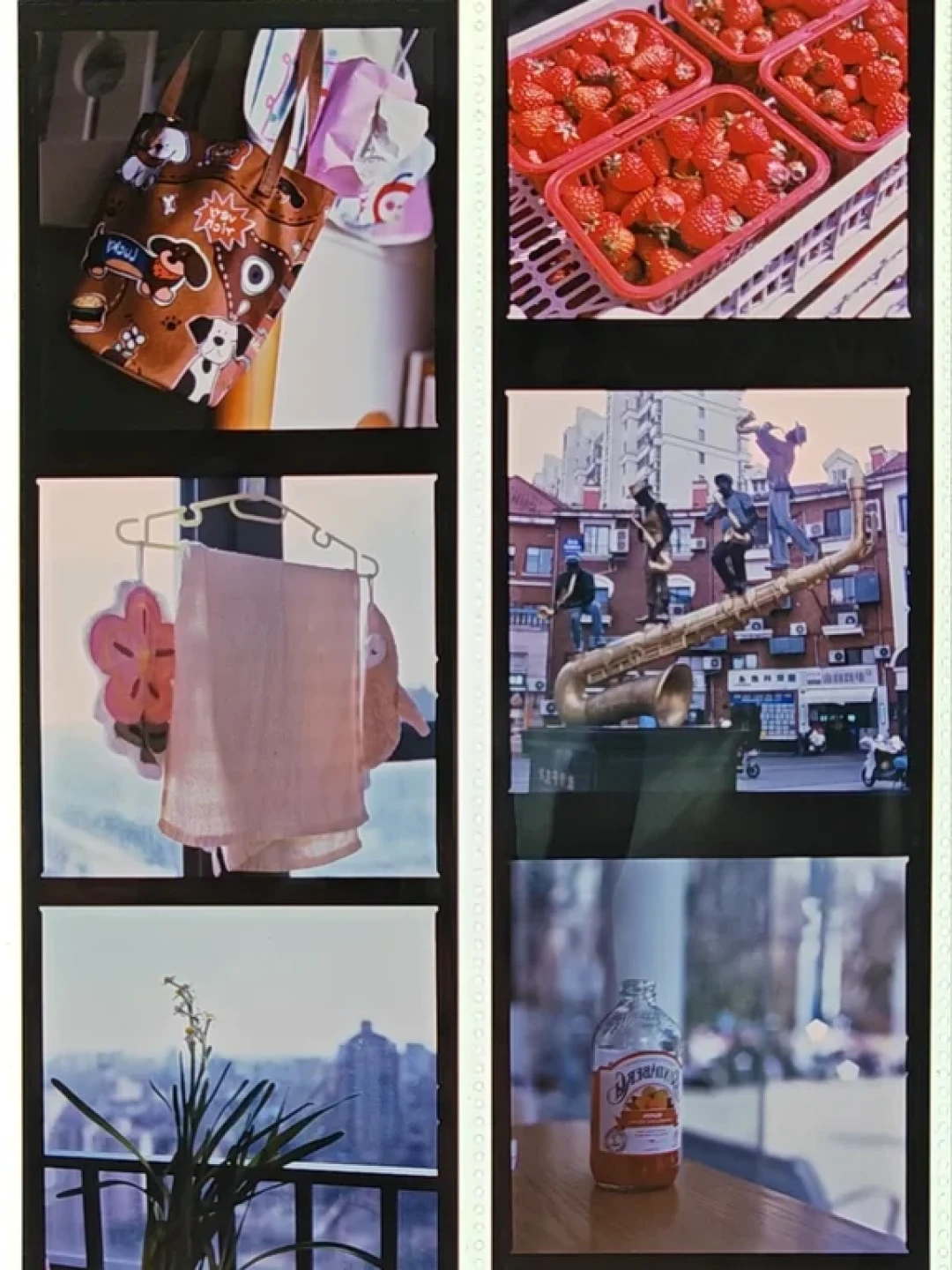 Velvia 338元一卷、E100一盒1000元：反转片涨到一次快门10块钱，还剩4条路能拍