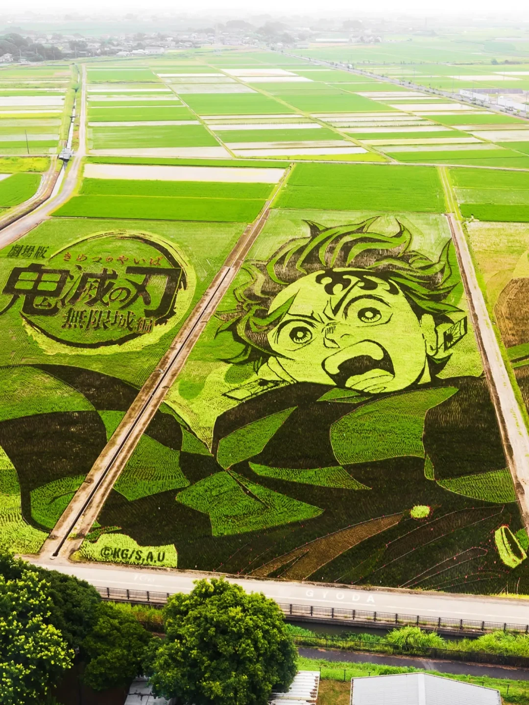 去年画鬼灭,今年画Minecraft:埼玉2.8万平米世界最大稻田画正当季,东京1.5小时一日往返攻略