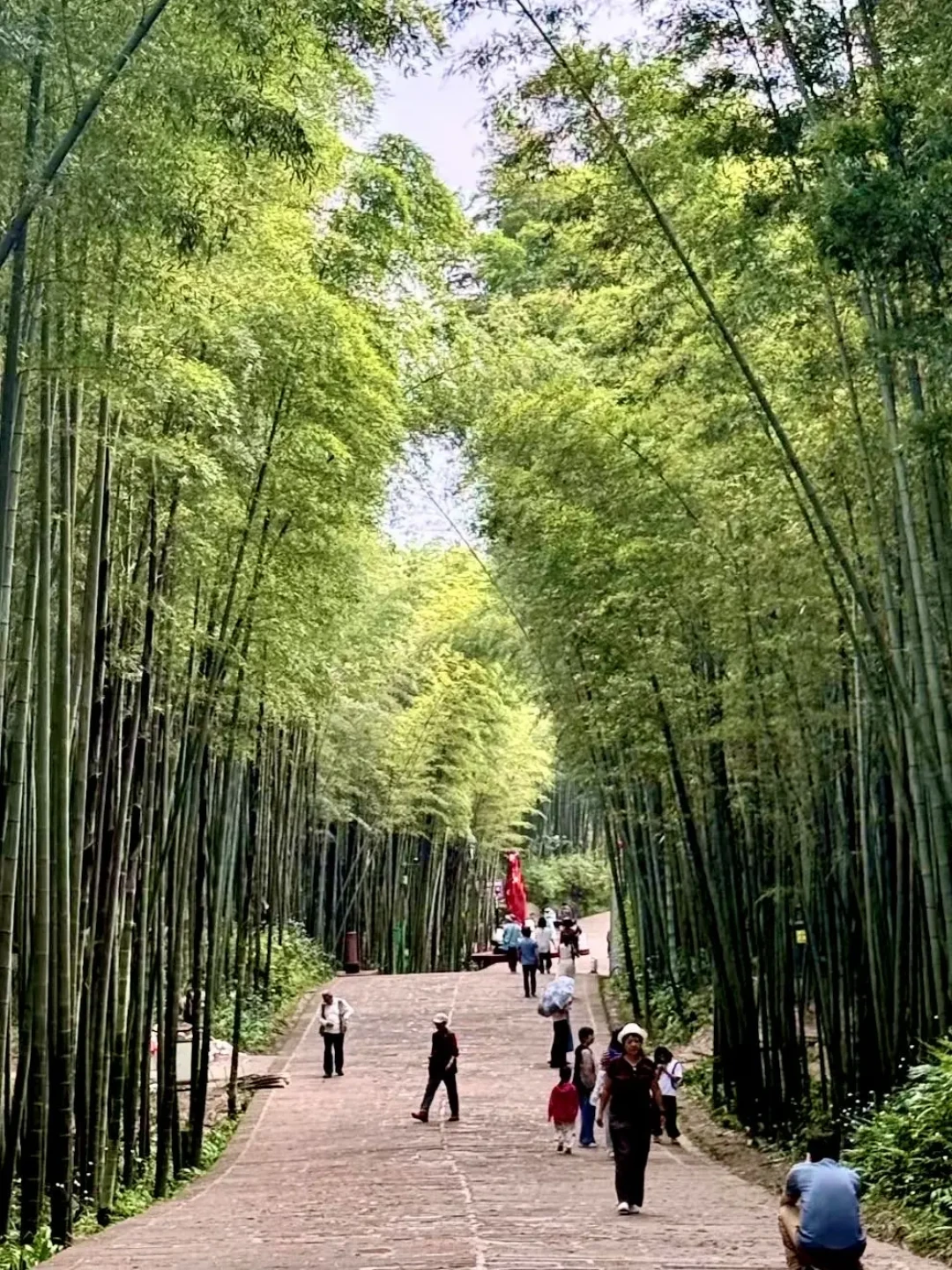 为什么最近看不到诺米了？抖音停更9个月，但线下舞台一直没停