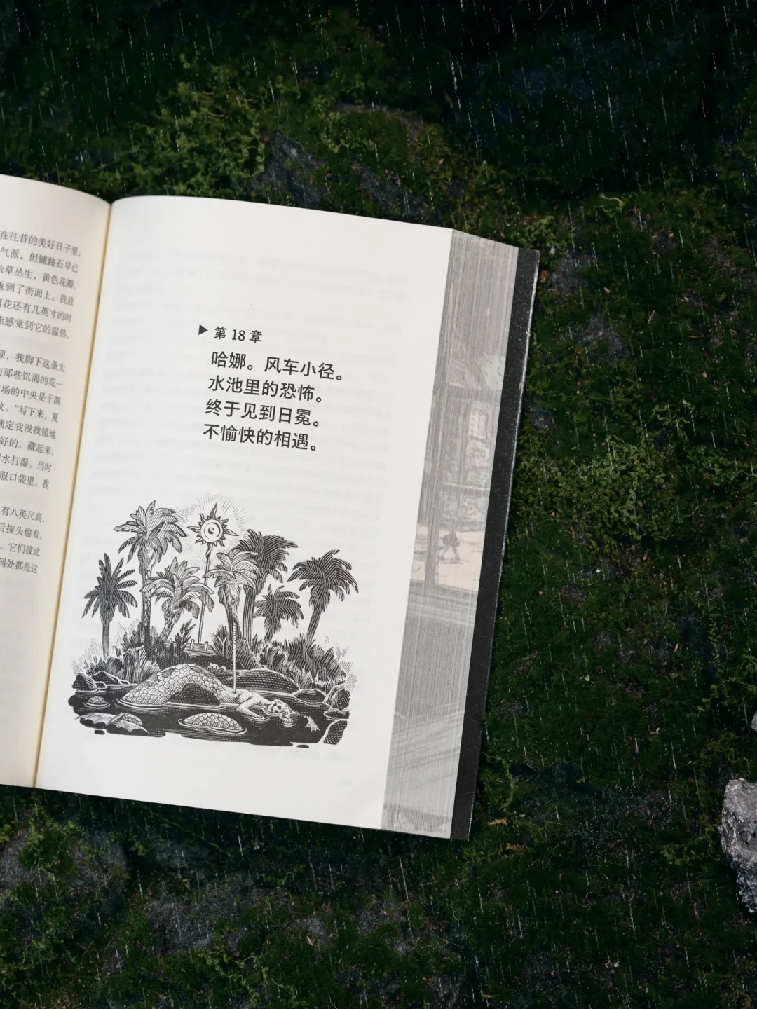 有人一口气读完60万字,有人看到三分之二弃了:斯蒂芬·金《黑童话》刷边版上线,这本书适合谁?