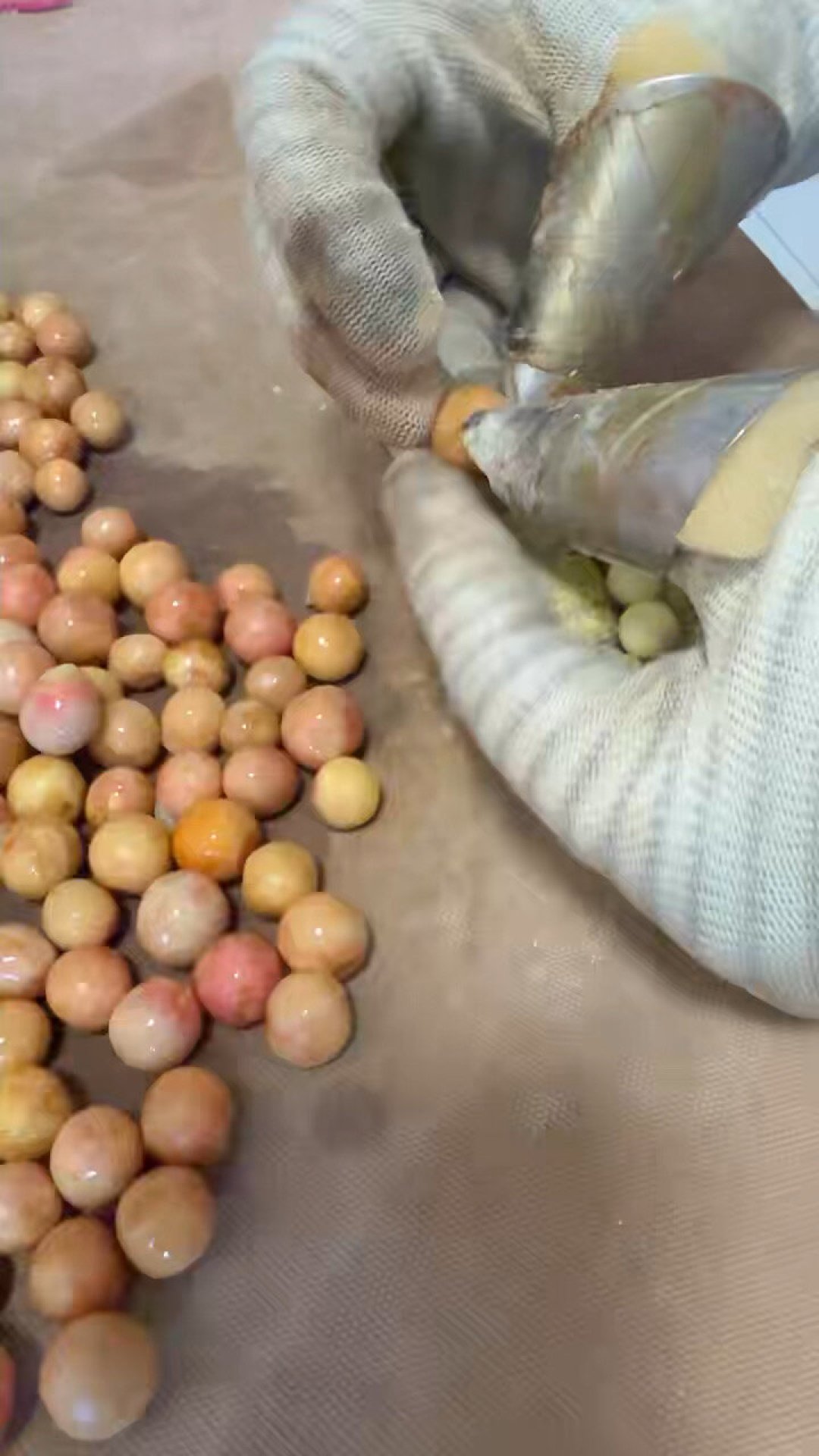 鸡头米进入旺季,但煮出来发硬发腥的,问题多半在米:付钱前先看这4点
