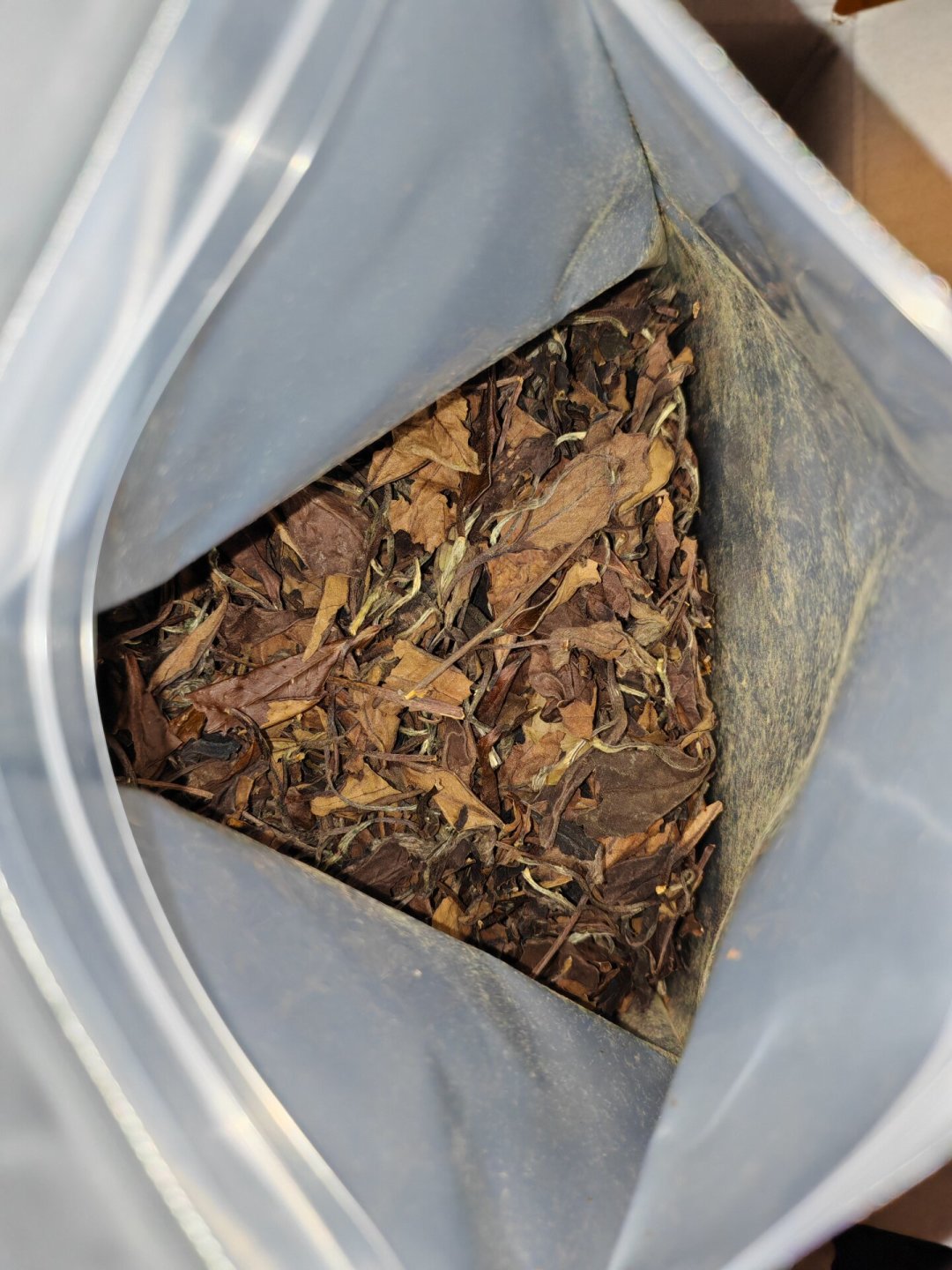 冷泡白茶第一课：别碰老白茶，银针不划算，白牡丹才是夏天的性价比之王