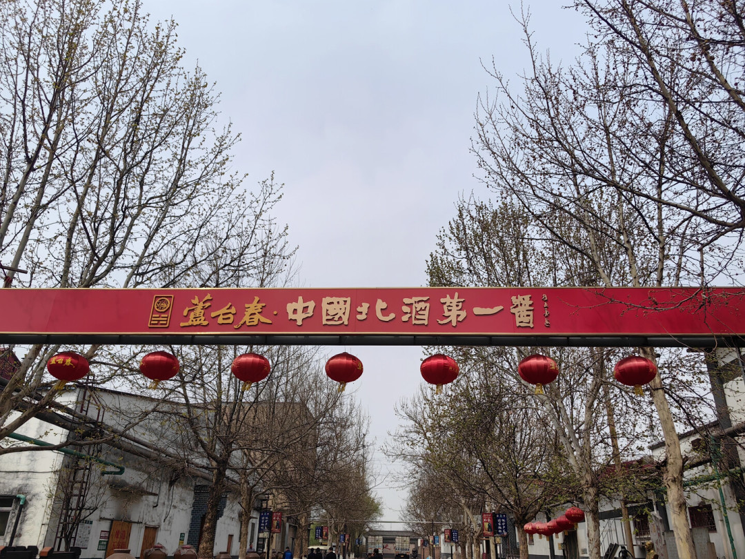 从几十元光瓶到600多的北酱：芦台春测评扎堆之后，哪几瓶值得入手，哪几瓶要避坑