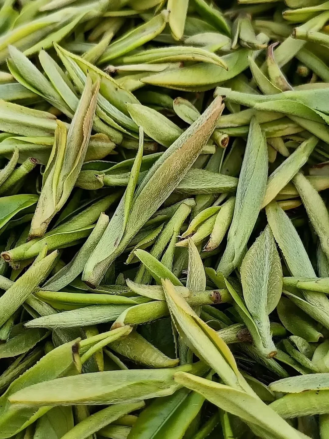 茶商背《茶经》“紫者上”卖高价紫茶,可陆羽当年喝的茶,根本不是这种
