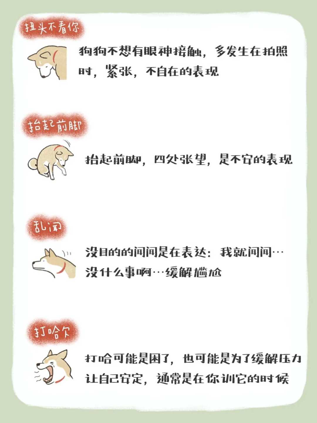 持牌训犬师被寄养9天的狗咬死:那次“失控”的预警信号,其实每天都在你家出现
