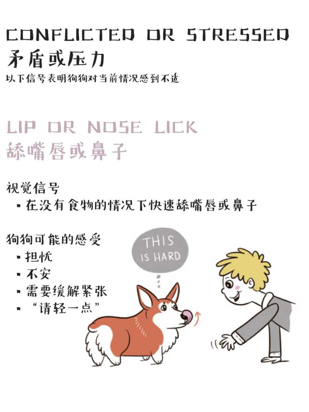 持牌训犬师被寄养9天的狗咬死:那次“失控”的预警信号,其实每天都在你家出现