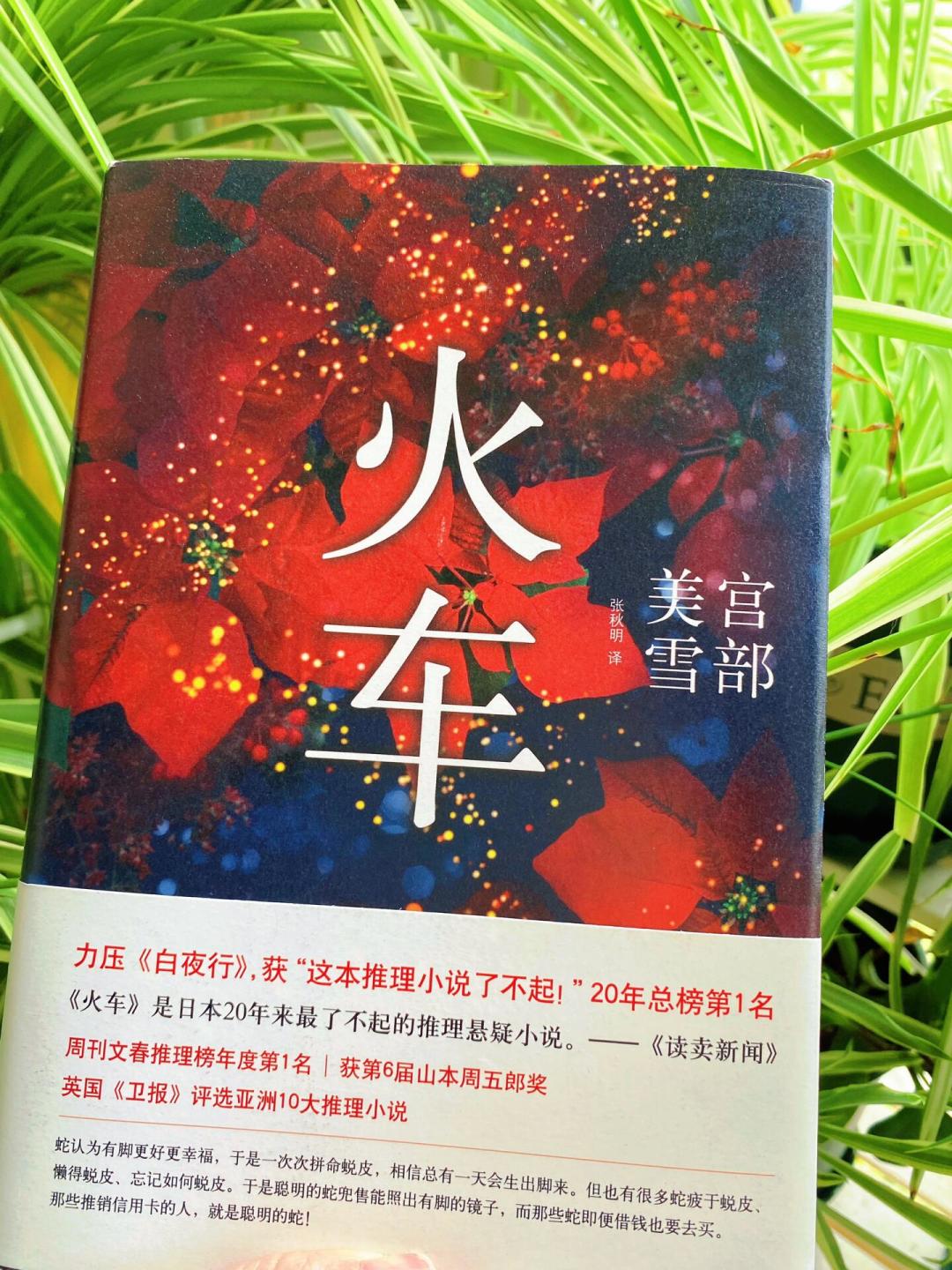 又被聊起来的《火车》:信用卡和网贷的债坑,宫部美雪1992年就写透了