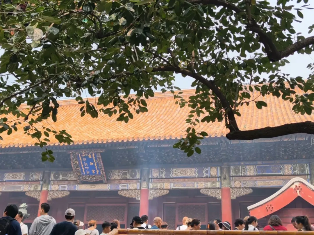 暑假最后一周,雍和宫:要不要预约、排队多久、香在哪领,用近一个月的实拍把矛盾信息说清