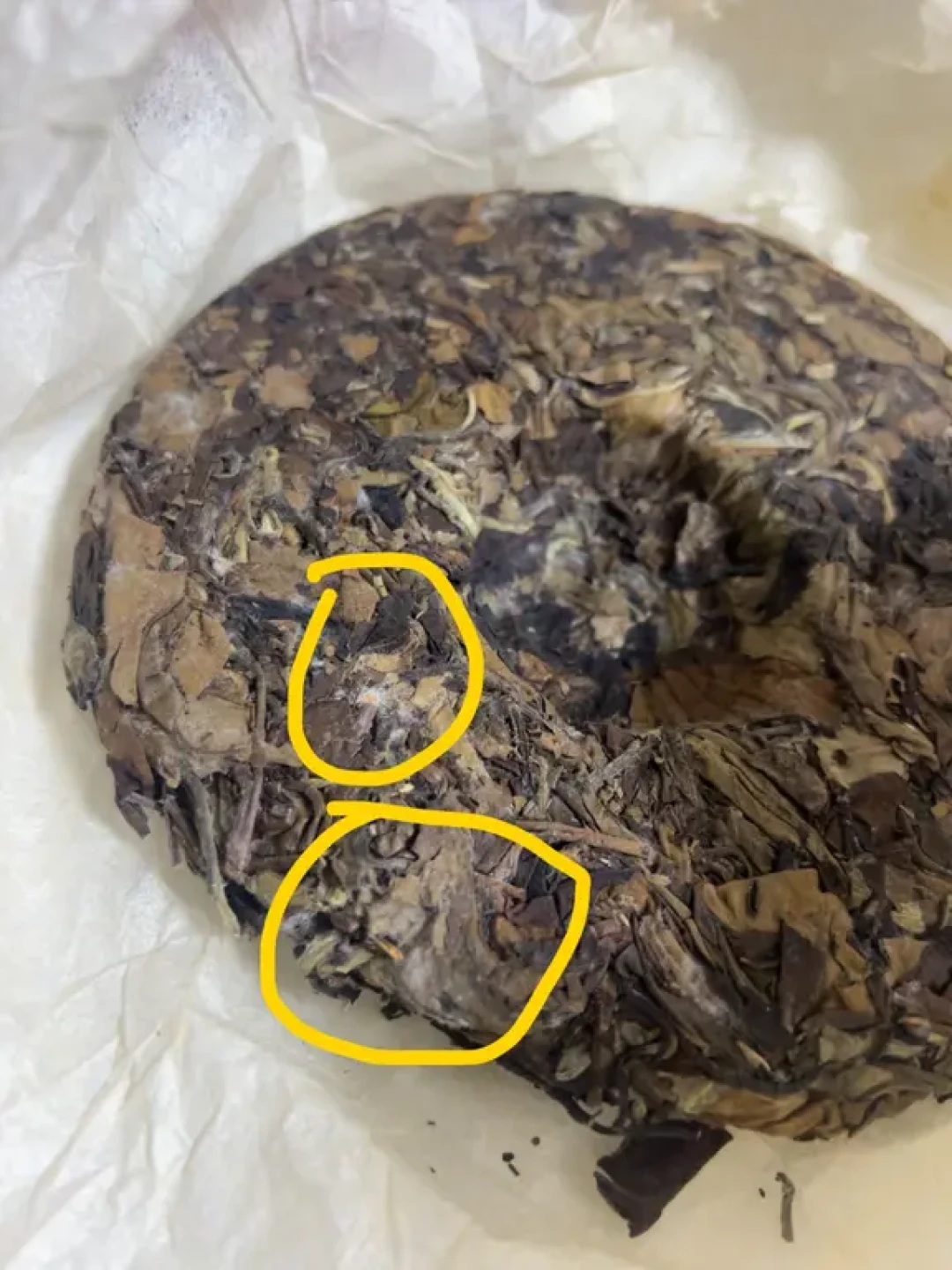 存了6年的白茶被台风搞发霉,舍不得扔:先把茶毫、白霜、金花、真霉分清楚再决定