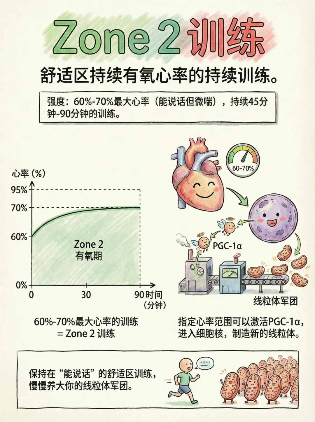 Zone 2火得一塌糊涂，HIIT就成了“急性子的刑罚”？看完今年的综述和专家共识，我的结论只有一句