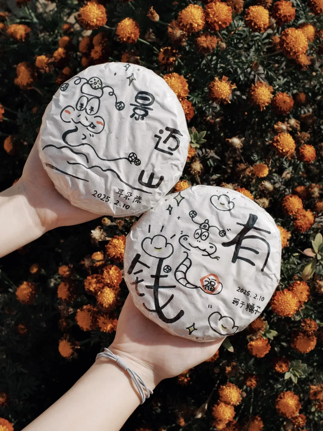 请3天假连休13天上热搜:今年去景迈山,别等国庆,9月底才是茶山最值窗口