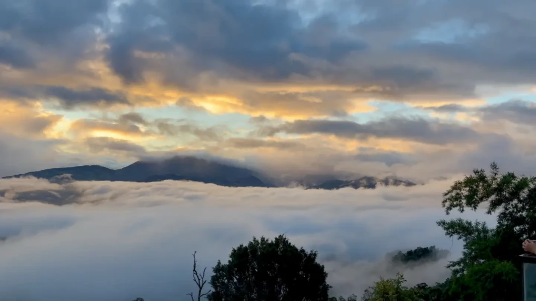请3天假连休13天上热搜:今年去景迈山,别等国庆,9月底才是茶山最值窗口