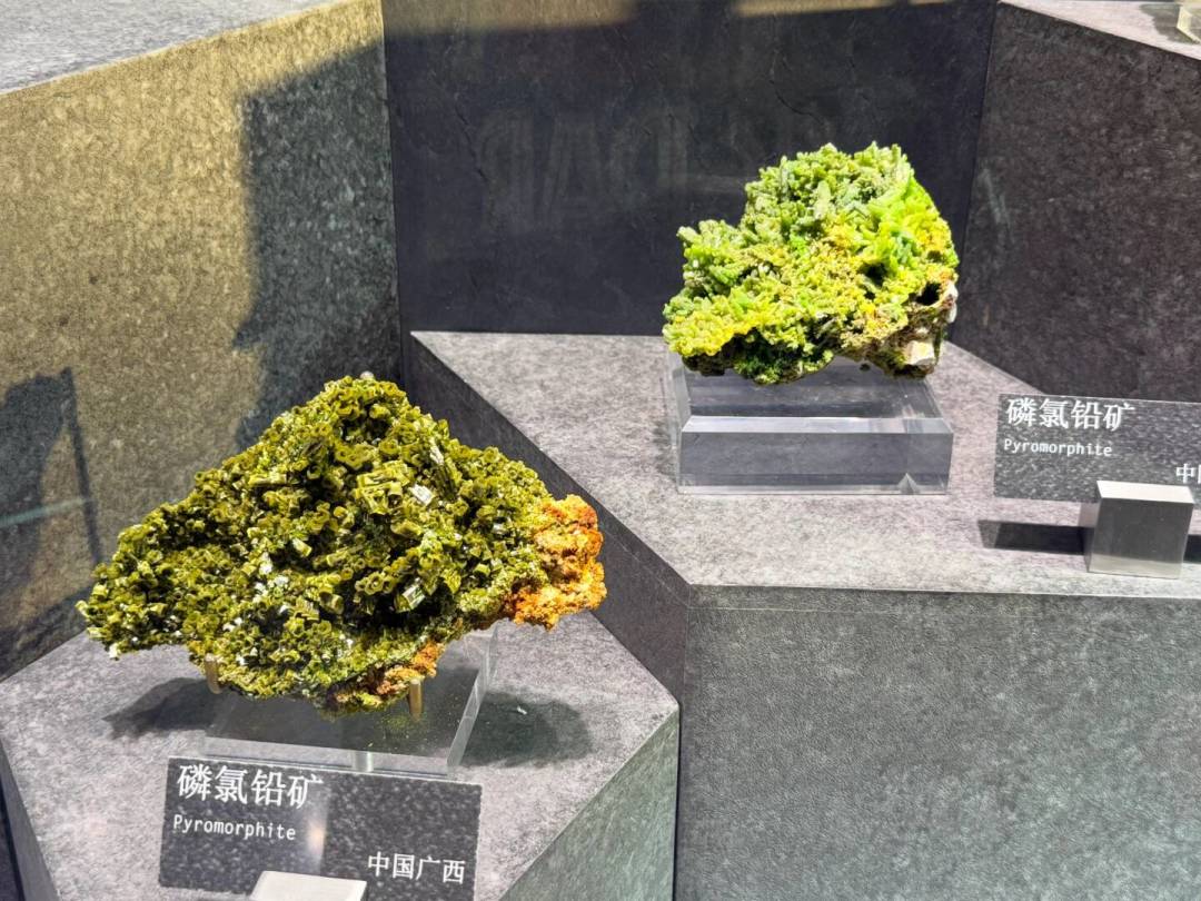 南京矿展今天开展,免费但只有5月大展五分之一:值不值得去、怎么逛、怎么买,全网现场情报我帮你理好了