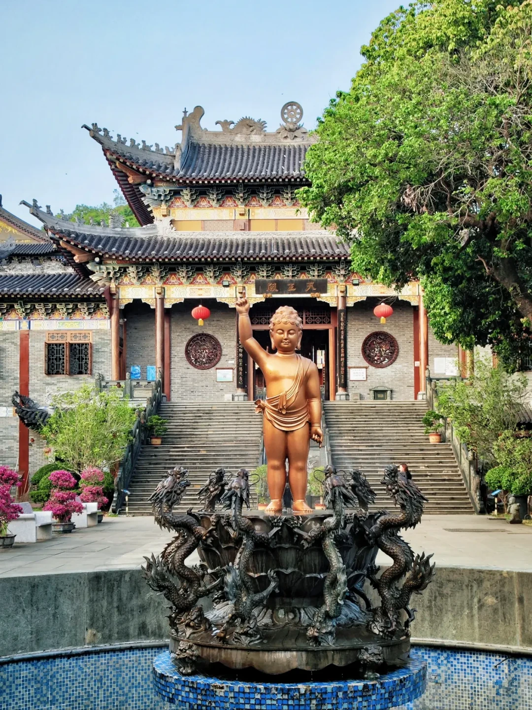 这周末去大鹏所城?先把天气、潮汐、预约三个“时机”算清楚再出发