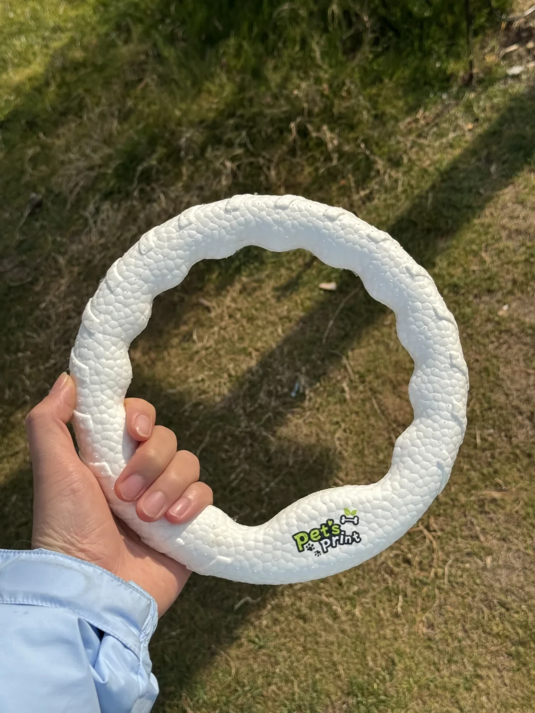 狗飞盘避坑指南:人玩的硬飞盘先排除,剩下三类按狗挑,翻车记录替你翻完了
