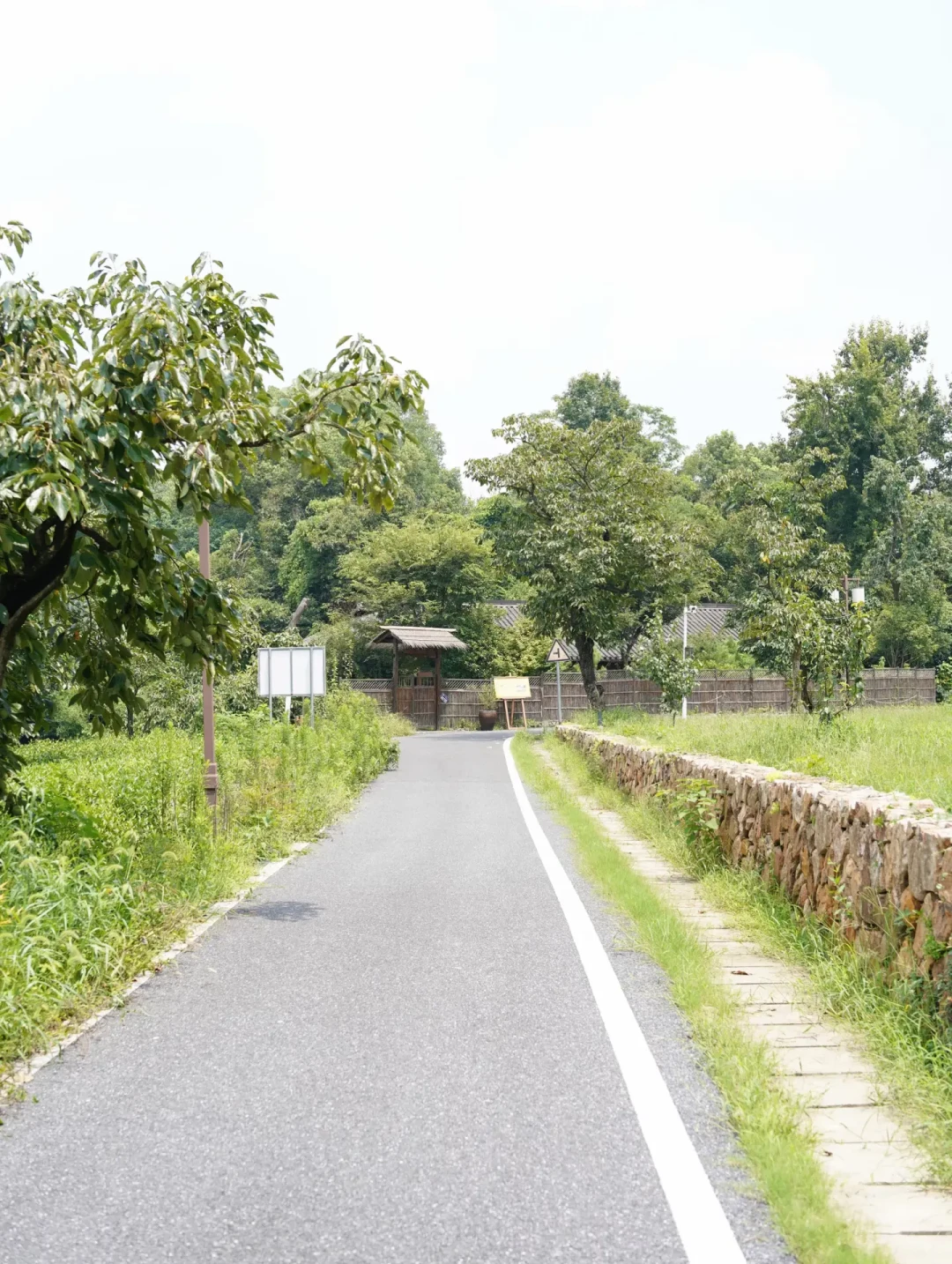 同一个村子，一半人说再也不去，一半人说还想去：翻完8月的乡村游踩雷帖，我整理出5个坑和1份清单